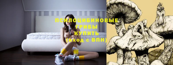 дмт Абинск